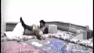 فيلم عراقي اباحى