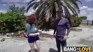 يخت بوت أسود الحمار الكبير